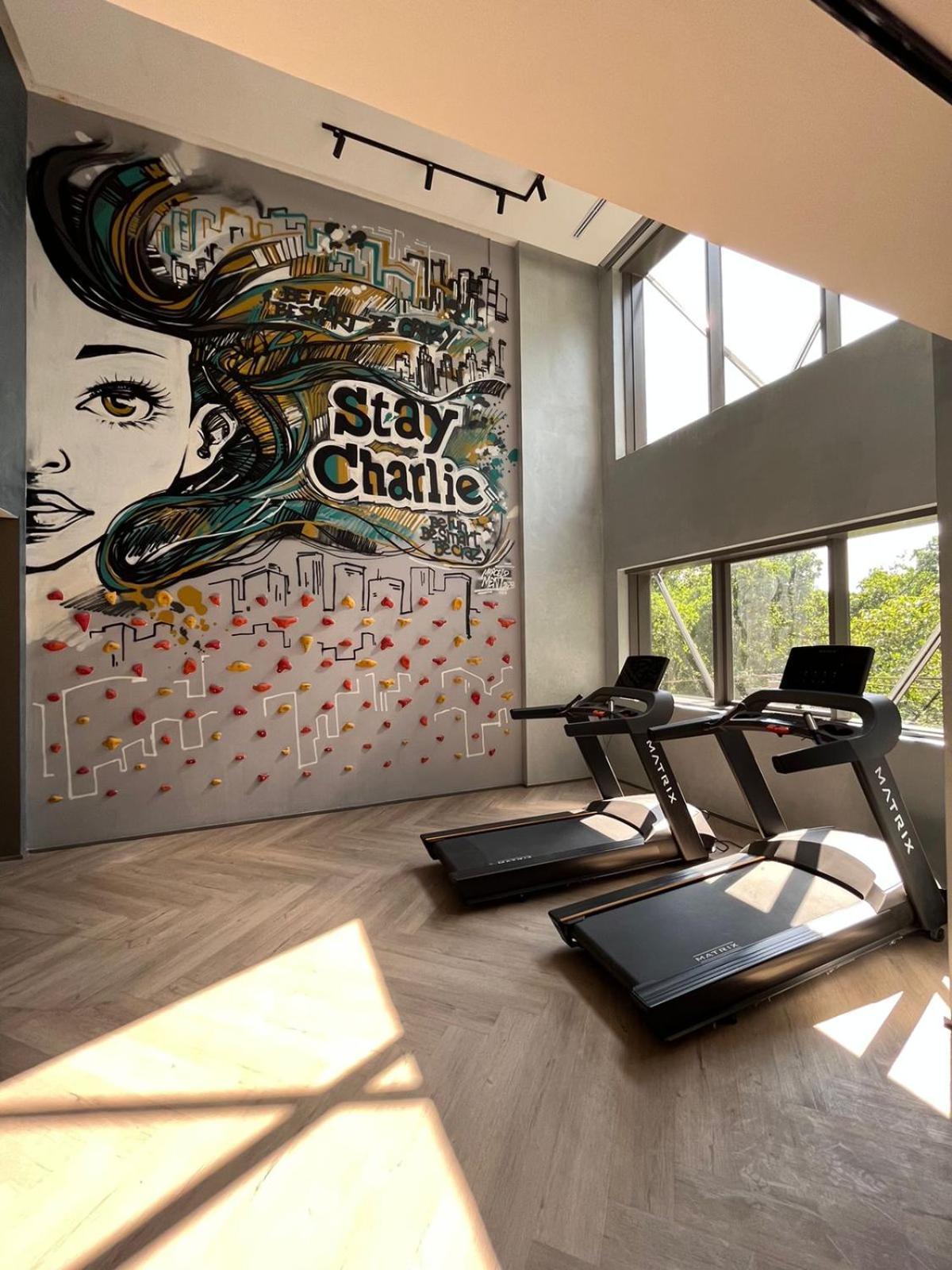 Iconyc Charlie Ibirapuera 酒店 圣保罗