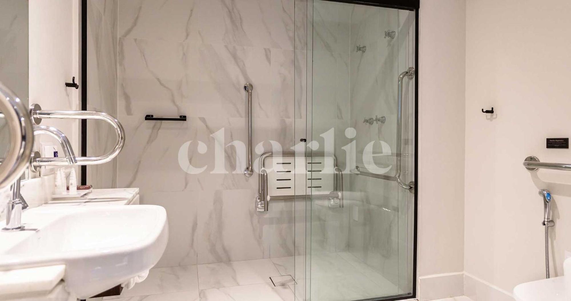 Iconyc Charlie Ibirapuera 酒店